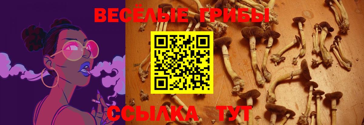 Галлюциногенные грибы мухоморы Добрянка